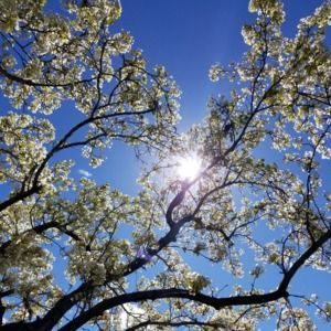 Meet your Posher, Sharon